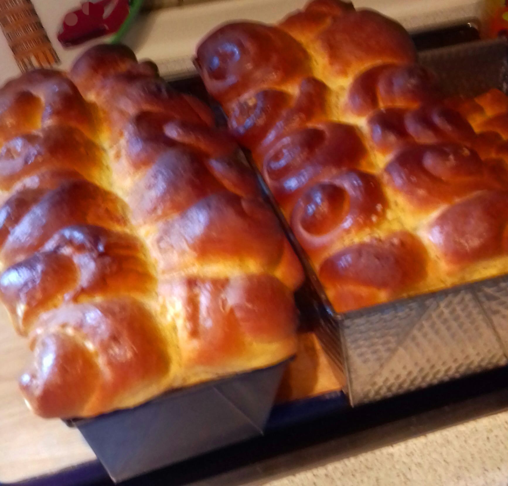 Brioche